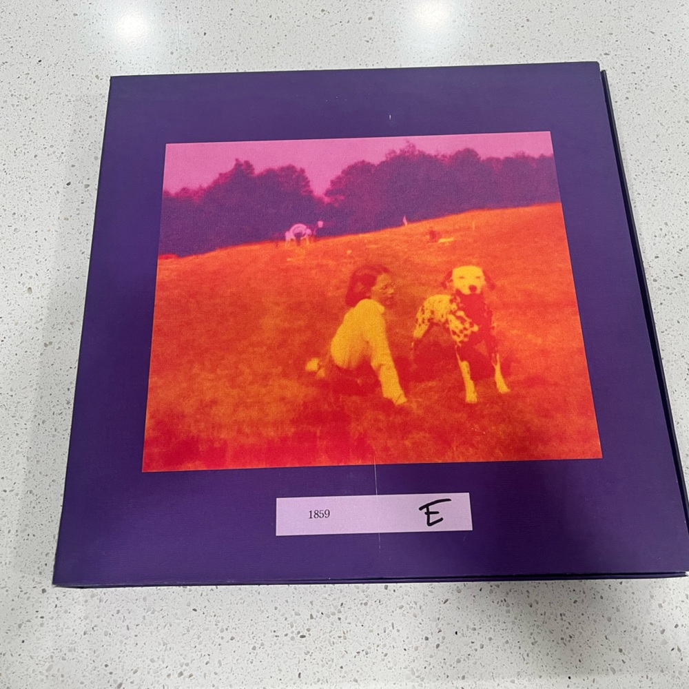 Purple and Orange Art Print